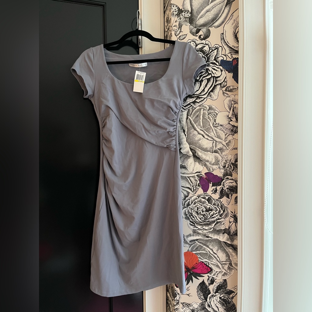 Brand New Susana Monaco Bodycon Dress
